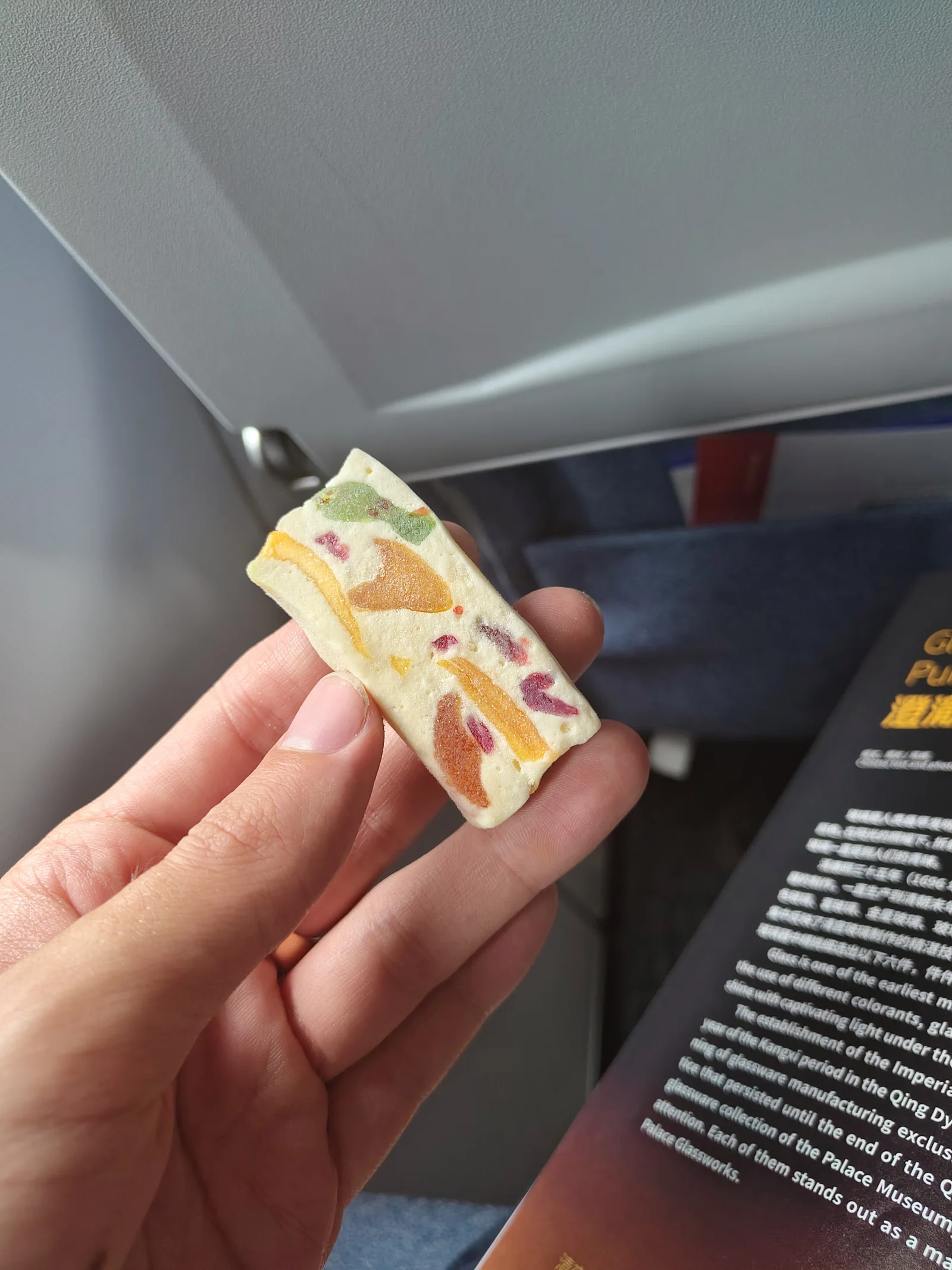 A small piece of Chinese fruit-filled candy.