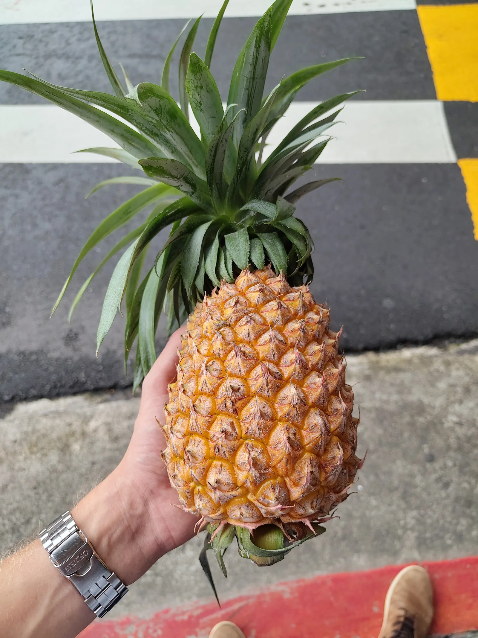 A pineapple.