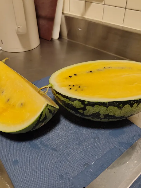 A yellow watermelon