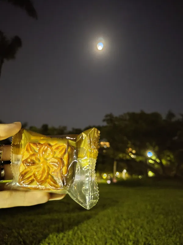 Mooncakes